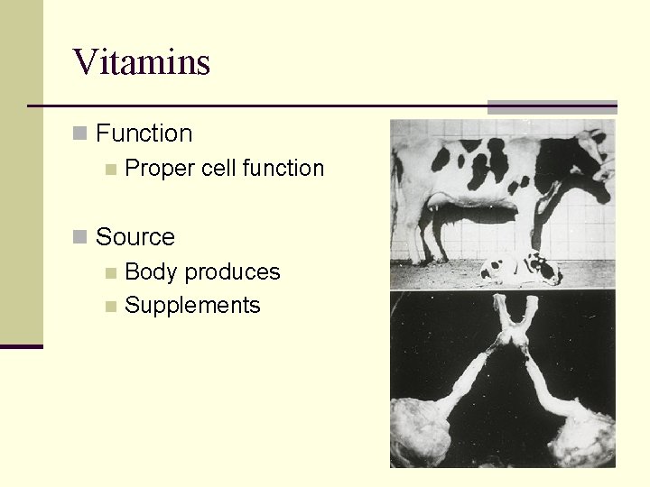 Vitamins n Function n Proper cell function n Source n Body produces n Supplements