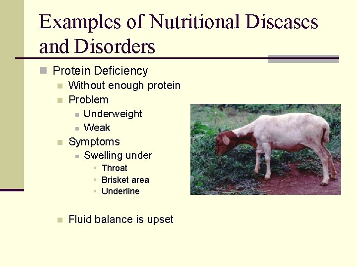 Examples of Nutritional Diseases and Disorders n Protein Deficiency n Without enough protein n