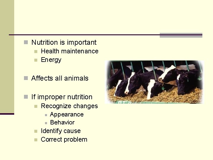 n Nutrition is important n Health maintenance n Energy n Affects all animals n