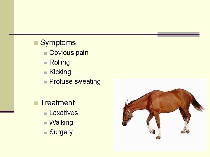 n Symptoms n n n Obvious pain Rolling Kicking Profuse sweating Treatment n n