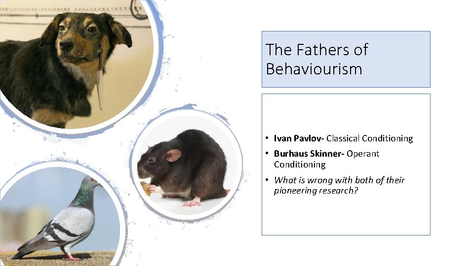 The Fathers of Behaviourism • Ivan Pavlov- Classical Conditioning • Burhaus Skinner- Operant Conditioning The Fathers of Behaviourism • Ivan Pavlov- Classical Conditioning • Burhaus Skinner- Operant Conditioning