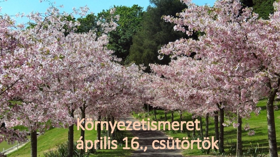 Környezetismeret április 16. , csütörtök 