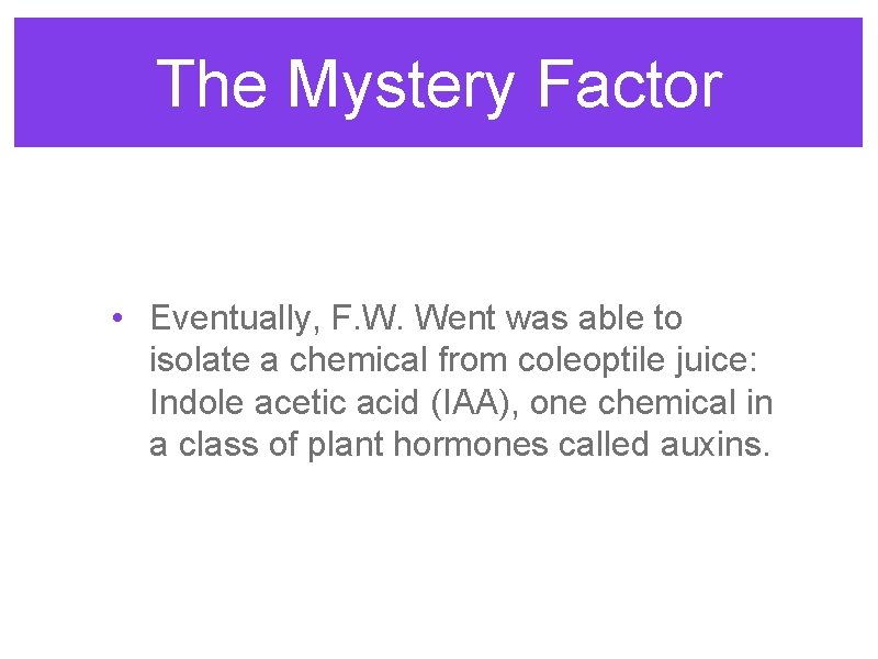 The Mystery Factor • Eventually, F. W. Went was able to isolate a chemical The Mystery Factor • Eventually, F. W. Went was able to isolate a chemical