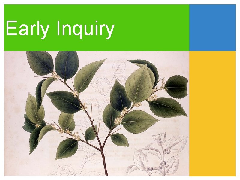 Early Inquiry Early Inquiry
