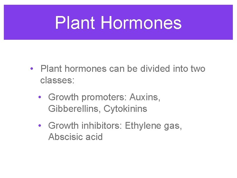 Plant Hormones • Plant hormones can be divided into two classes: • Growth promoters: Plant Hormones • Plant hormones can be divided into two classes: • Growth promoters: