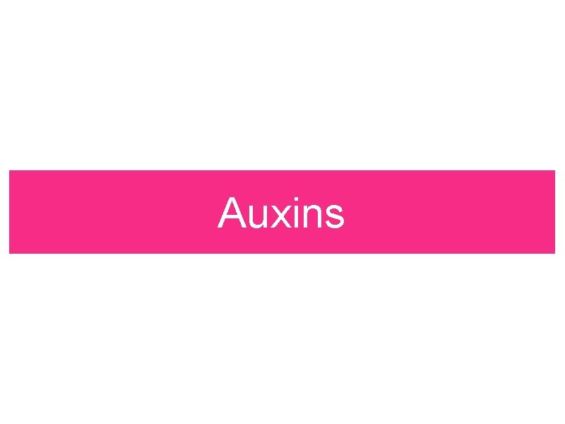 Auxins Auxins