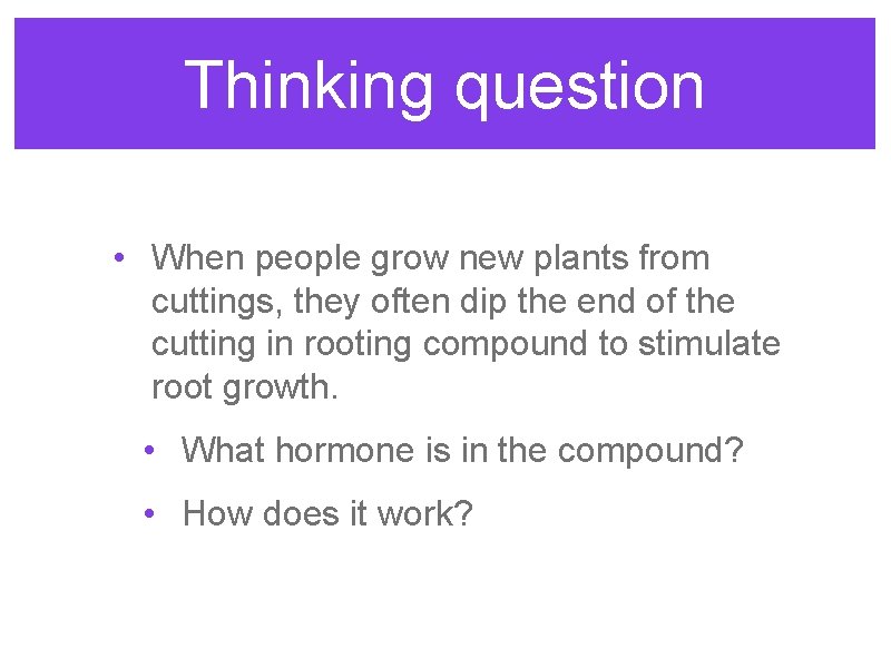 Thinking question • When people grow new plants from cuttings, they often dip the Thinking question • When people grow new plants from cuttings, they often dip the