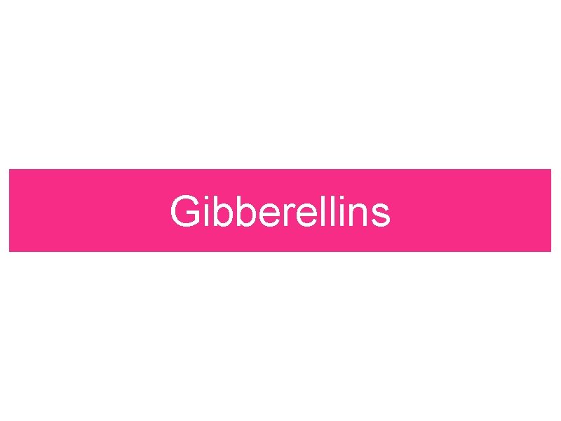Gibberellins Gibberellins