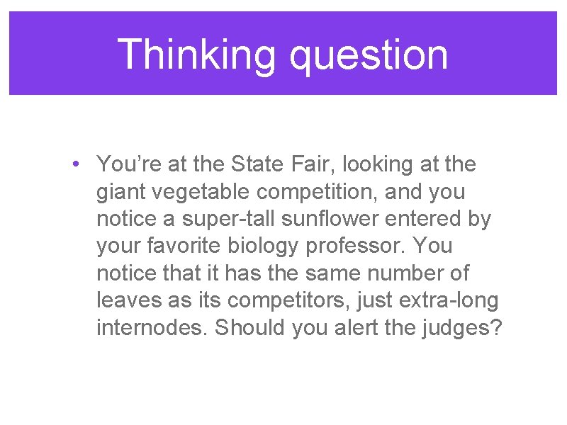 Thinking question • You’re at the State Fair, looking at the giant vegetable competition, Thinking question • You’re at the State Fair, looking at the giant vegetable competition,