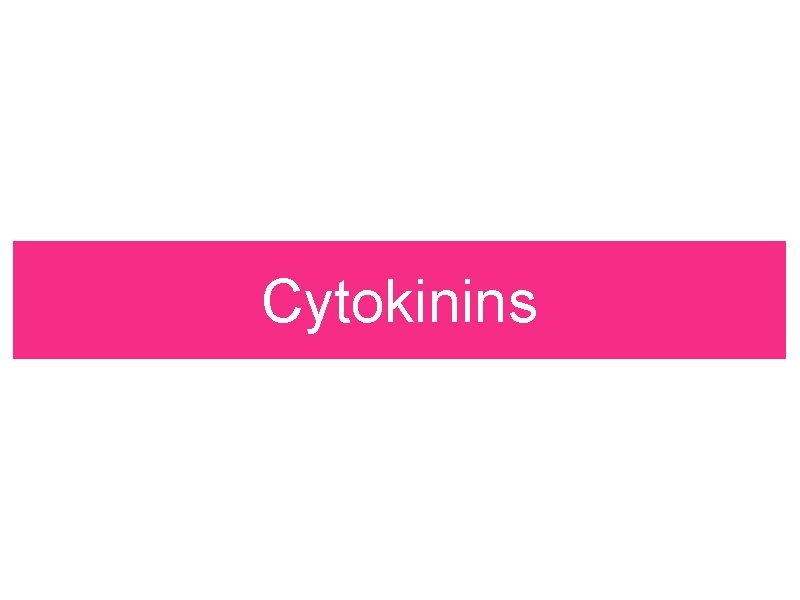 Cytokinins Cytokinins