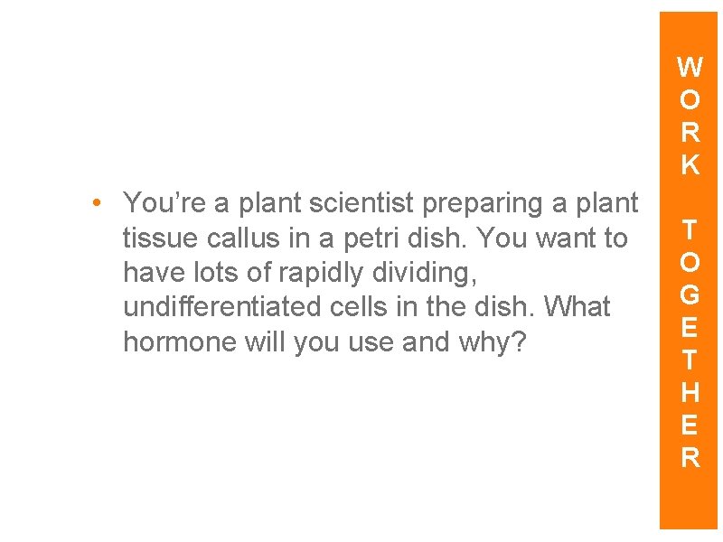 W O R K • You’re a plant scientist preparing a plant tissue callus W O R K • You’re a plant scientist preparing a plant tissue callus