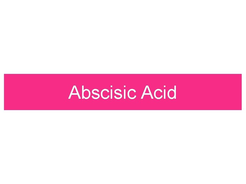 Abscisic Acid Abscisic Acid