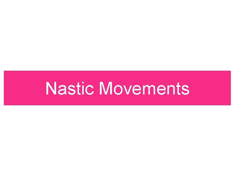 Nastic Movements Nastic Movements
