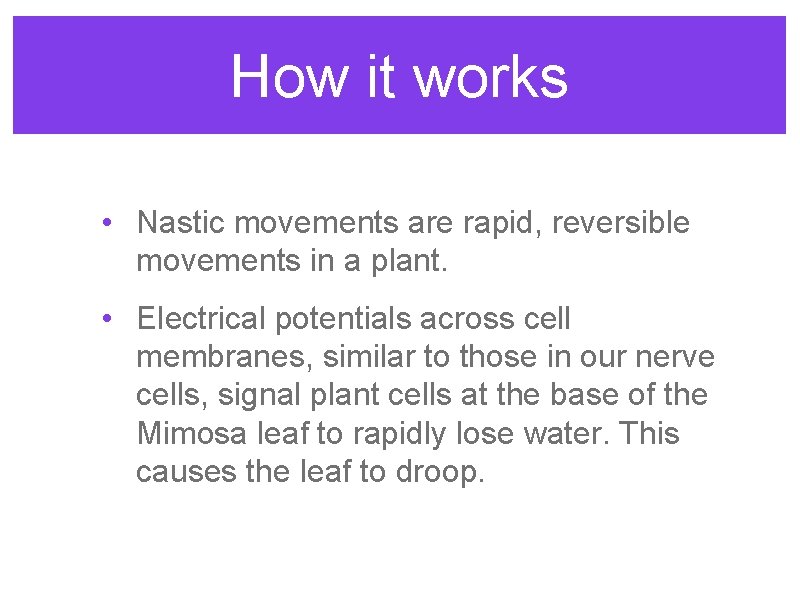 How it works • Nastic movements are rapid, reversible movements in a plant. • How it works • Nastic movements are rapid, reversible movements in a plant. •