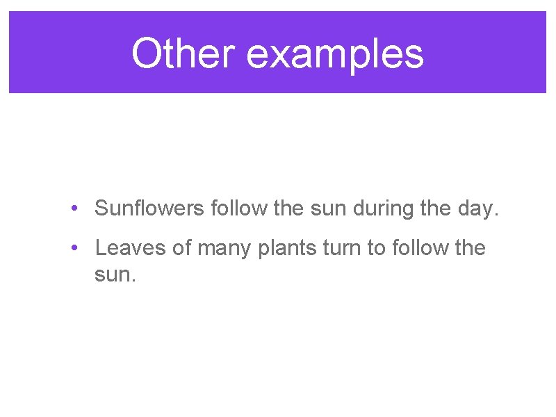 Other examples • Sunflowers follow the sun during the day. • Leaves of many Other examples • Sunflowers follow the sun during the day. • Leaves of many