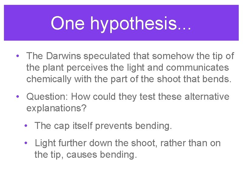 One hypothesis. . . • The Darwins speculated that somehow the tip of the One hypothesis. . . • The Darwins speculated that somehow the tip of the