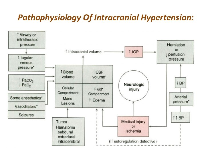 Pathophysiology Of Intracranial Hypertension: 