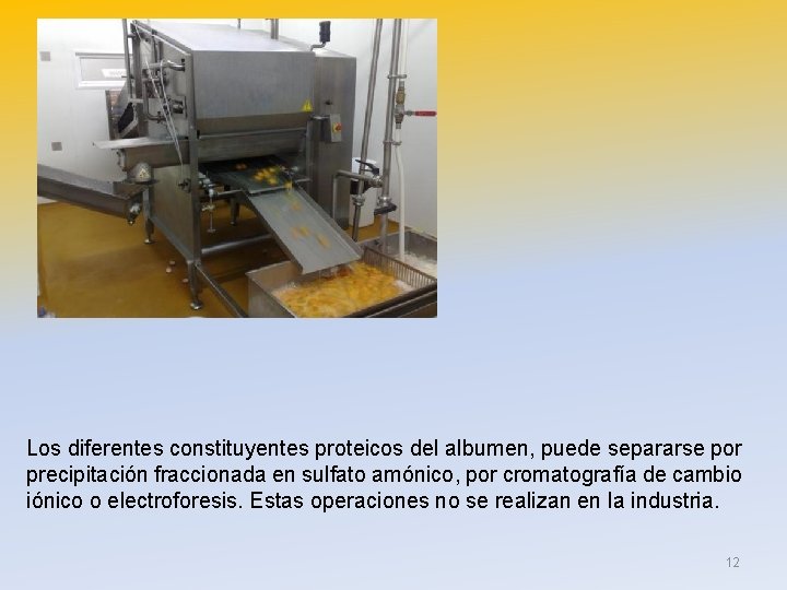 Los diferentes constituyentes proteicos del albumen, puede separarse por precipitación fraccionada en sulfato amónico,