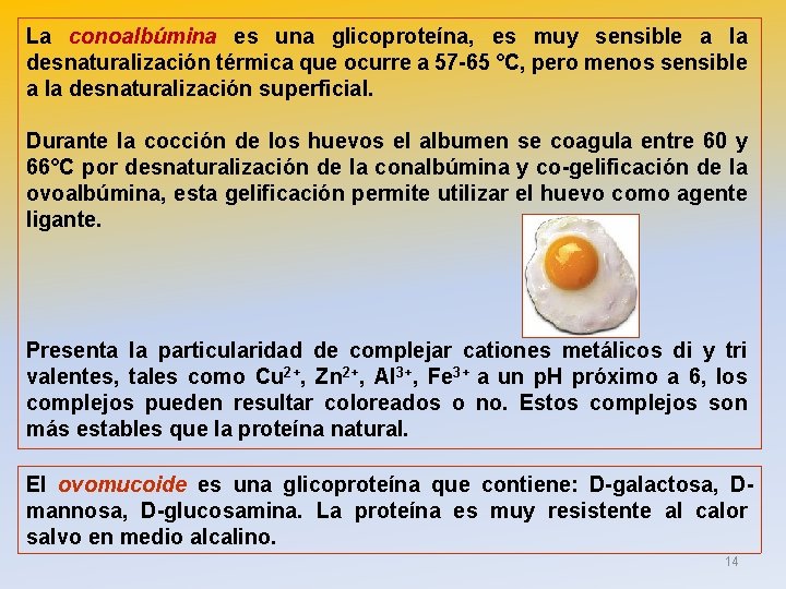 La conoalbúmina es una glicoproteína, es muy sensible a la desnaturalización térmica que ocurre