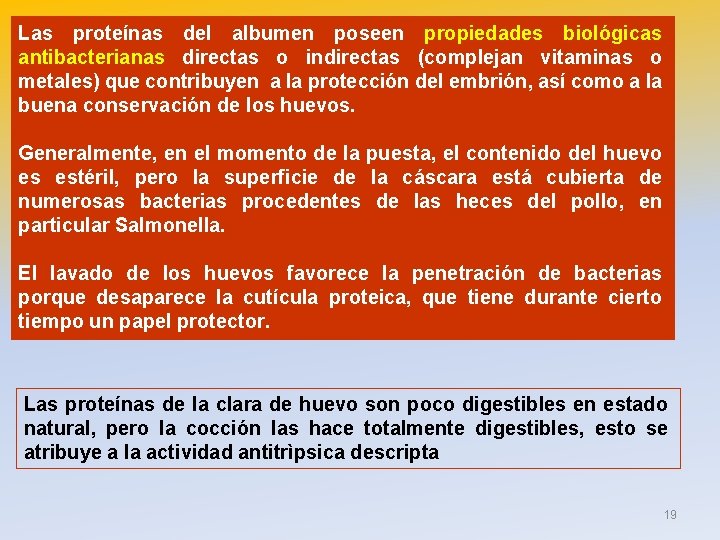 Las proteínas del albumen poseen propiedades biológicas antibacterianas directas o indirectas (complejan vitaminas o