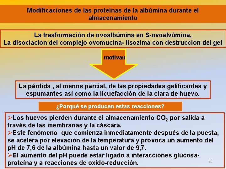 Modificaciones de las proteínas de la albúmina durante el almacenamiento La trasformación de ovoalbúmina