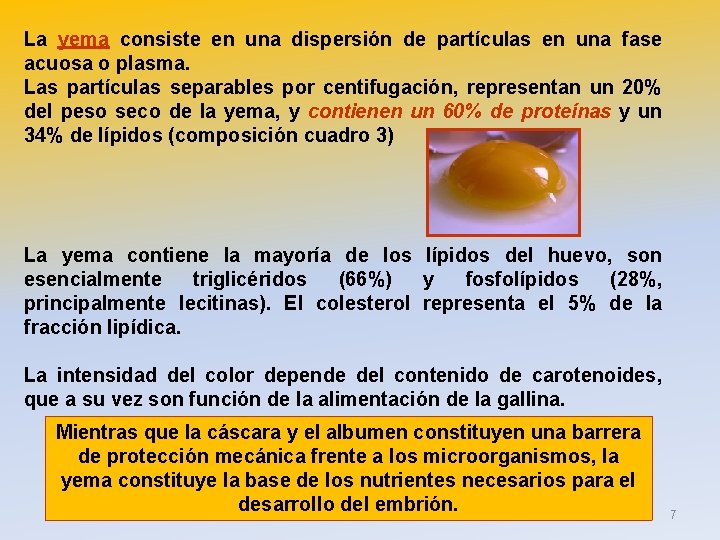 La yema consiste en una dispersión de partículas en una fase acuosa o plasma.