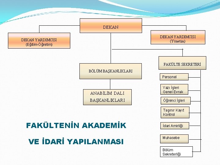 DEKAN YARDIMCISI (Yönetim) DEKAN YARDIMCISI (Eğitim-Öğretim) FAKÜLTE SEKRETERİ BÖLÜM BAŞKANLIKLARI Personel ANABİLİM DALI Yazı