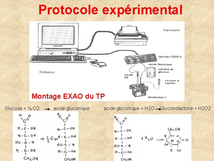 Protocole expérimental Montage EXAO du TP Glucose + ½ O 2 acide gluconique +