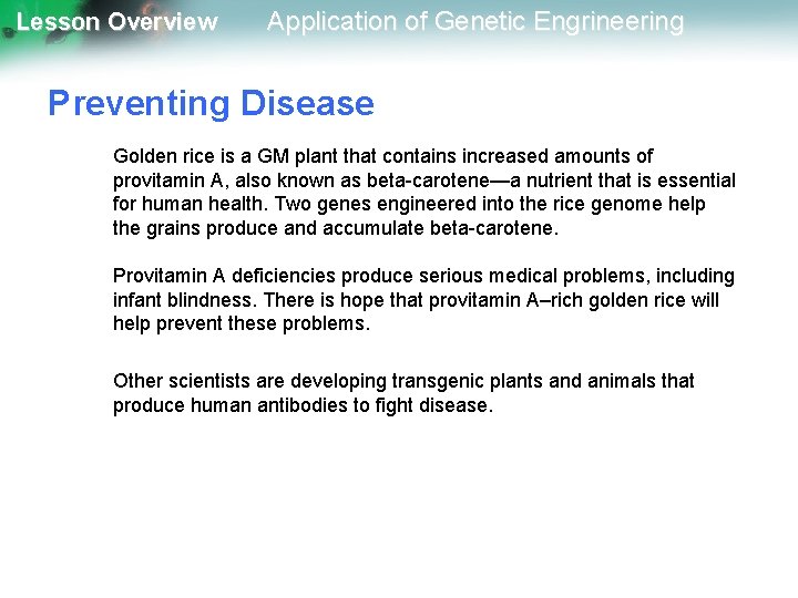 Lesson Overview Application of Genetic Engrineering Preventing Disease Golden rice is a GM plant