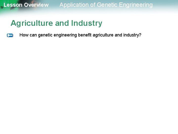 Lesson Overview Application of Genetic Engrineering Agriculture and Industry How can genetic engineering benefit