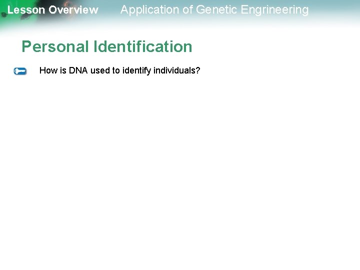 Lesson Overview Application of Genetic Engrineering Personal Identification How is DNA used to identify