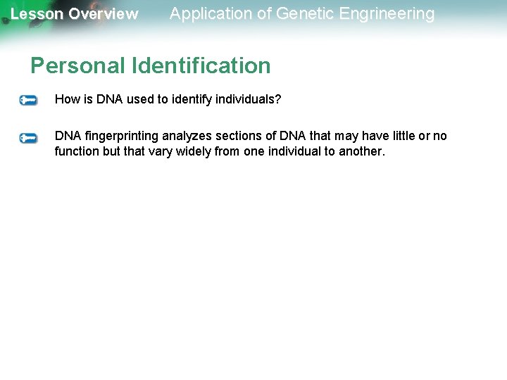 Lesson Overview Application of Genetic Engrineering Personal Identification How is DNA used to identify