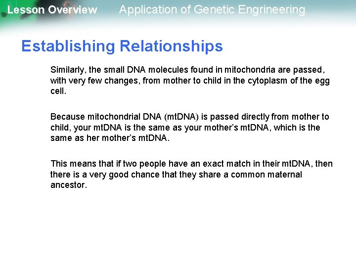 Lesson Overview Application of Genetic Engrineering Establishing Relationships Similarly, the small DNA molecules found