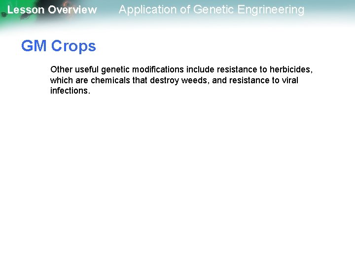 Lesson Overview Application of Genetic Engrineering GM Crops Other useful genetic modifications include resistance