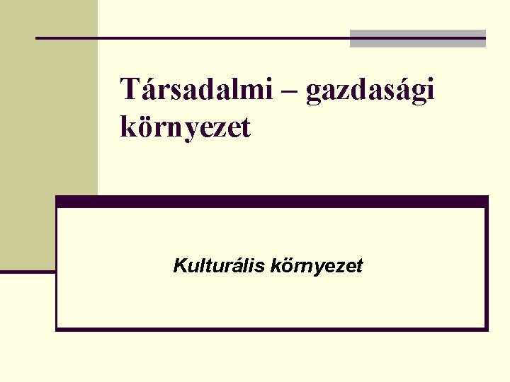 Társadalmi – gazdasági környezet Kulturális környezet 