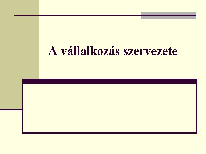 A vállalkozás szervezete 