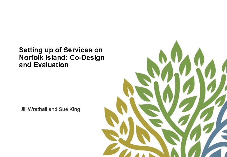 Setting up of Services on Norfolk Island: Co-Design and Evaluation Jill Wrathall and Sue