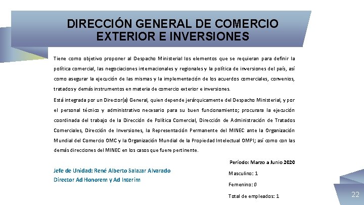 DIRECCIÓN GENERAL DE COMERCIO EXTERIOR E INVERSIONES Tiene como objetivo proponer al Despacho Ministerial