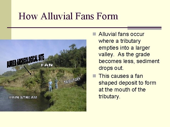 How Alluvial Fans Form n Alluvial fans occur where a tributary empties into a