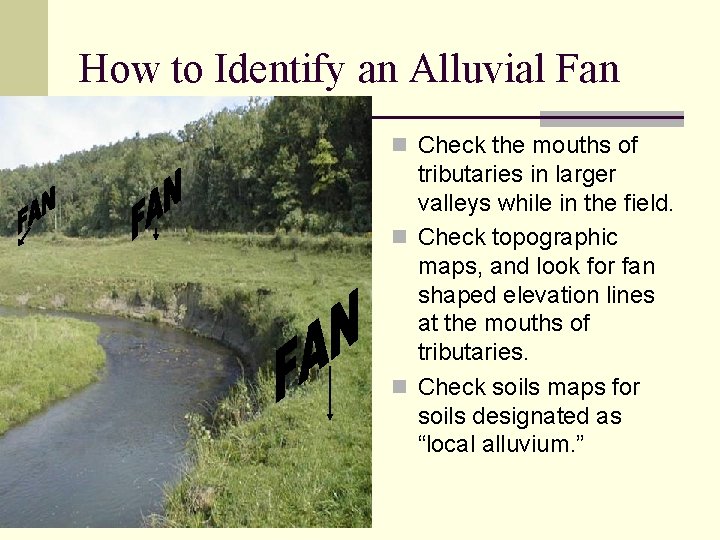 How to Identify an Alluvial Fan n Check the mouths of tributaries in larger