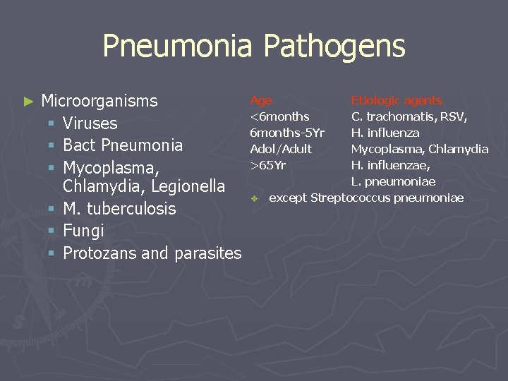 Pneumonia Pathogens ► Microorganisms § Viruses § Bact Pneumonia § Mycoplasma, Chlamydia, Legionella §