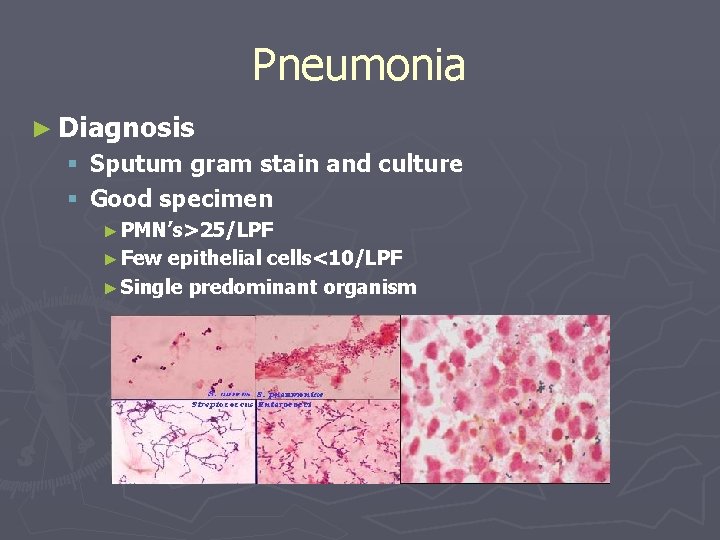 Pneumonia ► Diagnosis § Sputum gram stain and culture § Good specimen ► PMN’s>25/LPF