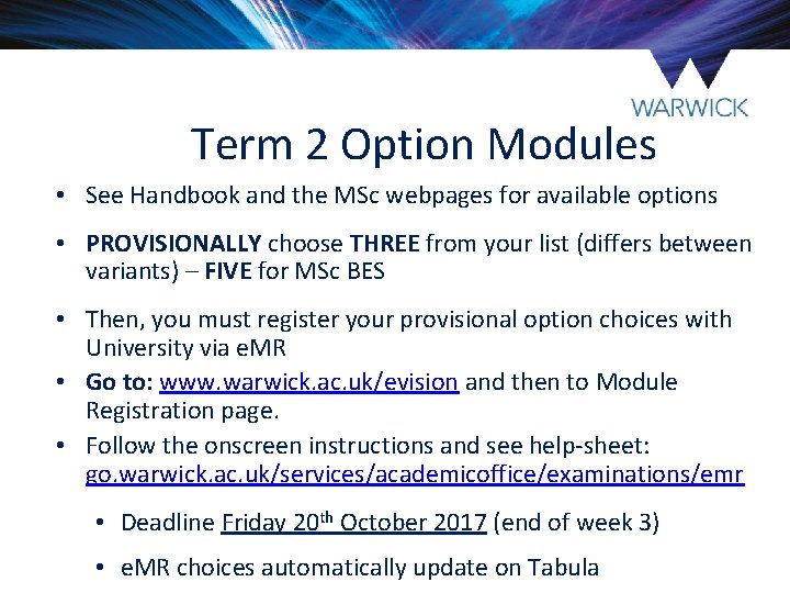 Term 2 Option Modules • See Handbook and the MSc webpages for available options Term 2 Option Modules • See Handbook and the MSc webpages for available options