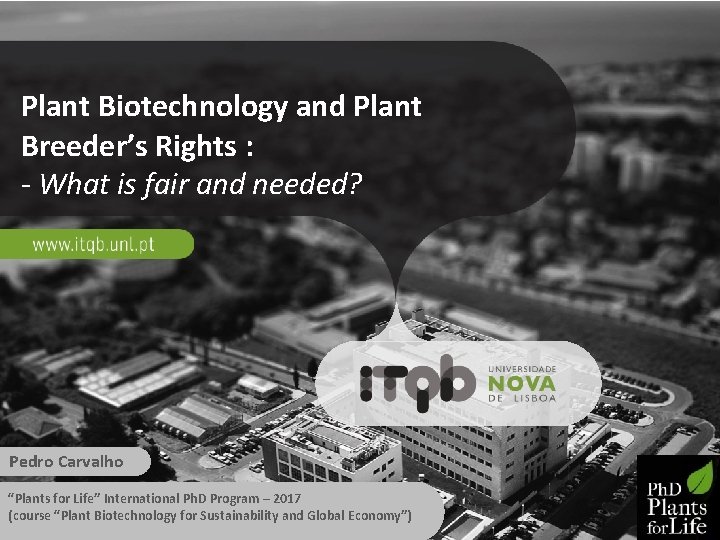 Plant Biotechnology and Plant Breeder’s Rights : - What is fair and needed? Pedro