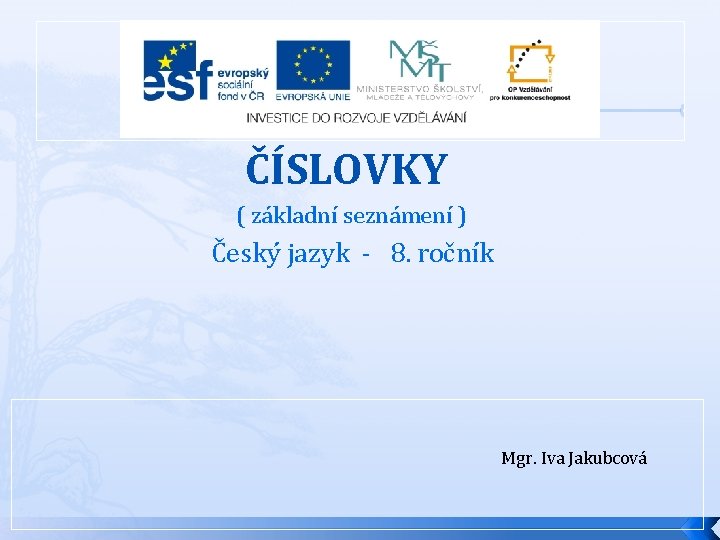 ČÍSLOVKY ( základní seznámení ) Český jazyk - 8. ročník Mgr. Iva Jakubcová 