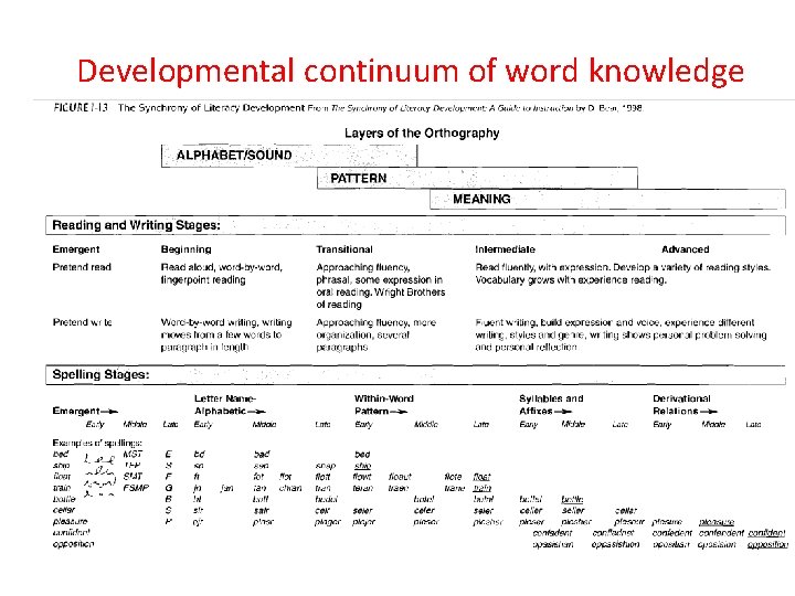 Developmental continuum of word knowledge Developmental continuum of word knowledge