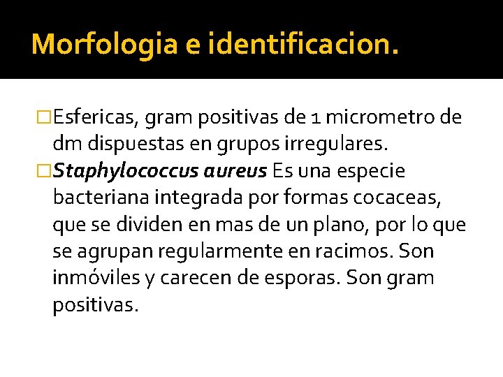 Morfologia e identificacion. �Esfericas, gram positivas de 1 micrometro de dm dispuestas en grupos