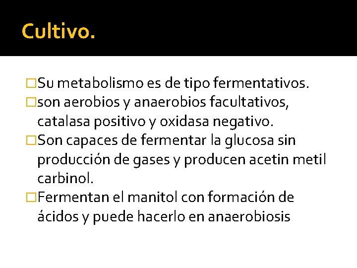 Cultivo. �Su metabolismo es de tipo fermentativos. �son aerobios y anaerobios facultativos, catalasa positivo