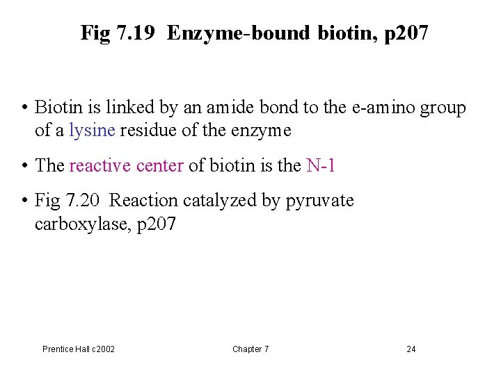 Fig 7. 19 Enzyme-bound biotin, p 207 • Biotin is linked by an amide