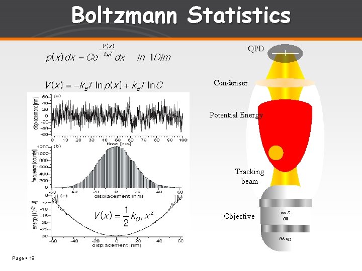 Boltzmann Statistics QPD Condenser Potential Energy Tracking beam Objective 100 X Oil NA 1.